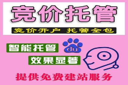 百度SEO优化公司案例详解：如何制定有效的推广计划